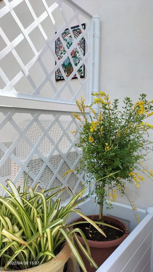 Villa Con Piscina Uso Esclusivo Mazara del Vallo Exterior foto